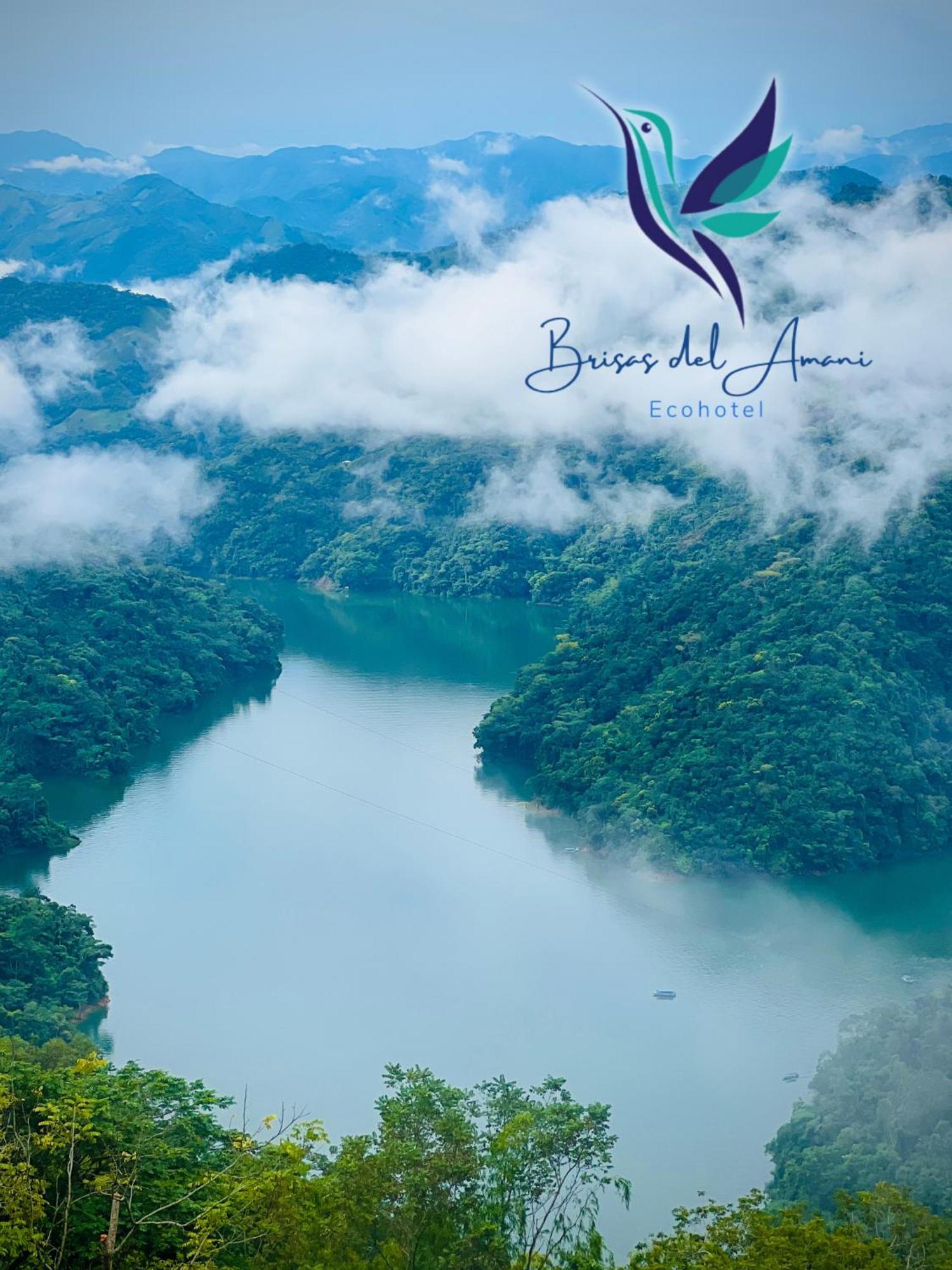 Ecohotel Brisas Del Amani Norcasia 外观 照片